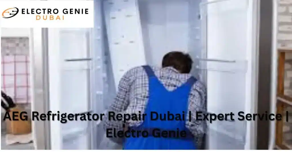 AEG Refrigerator Repair Dubai | Expert Service | Electro Genie