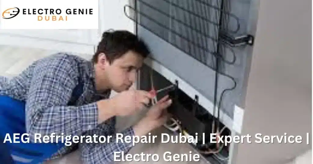 AEG Refrigerator Repair Dubai | Expert Service | Electro Genie